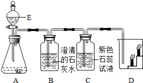 绿色荧光蛋白分子的化学性质解析